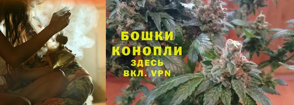 твердый Алзамай