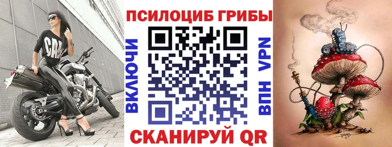 Галлюциногенные грибы прущие грибы  Краснообск 
